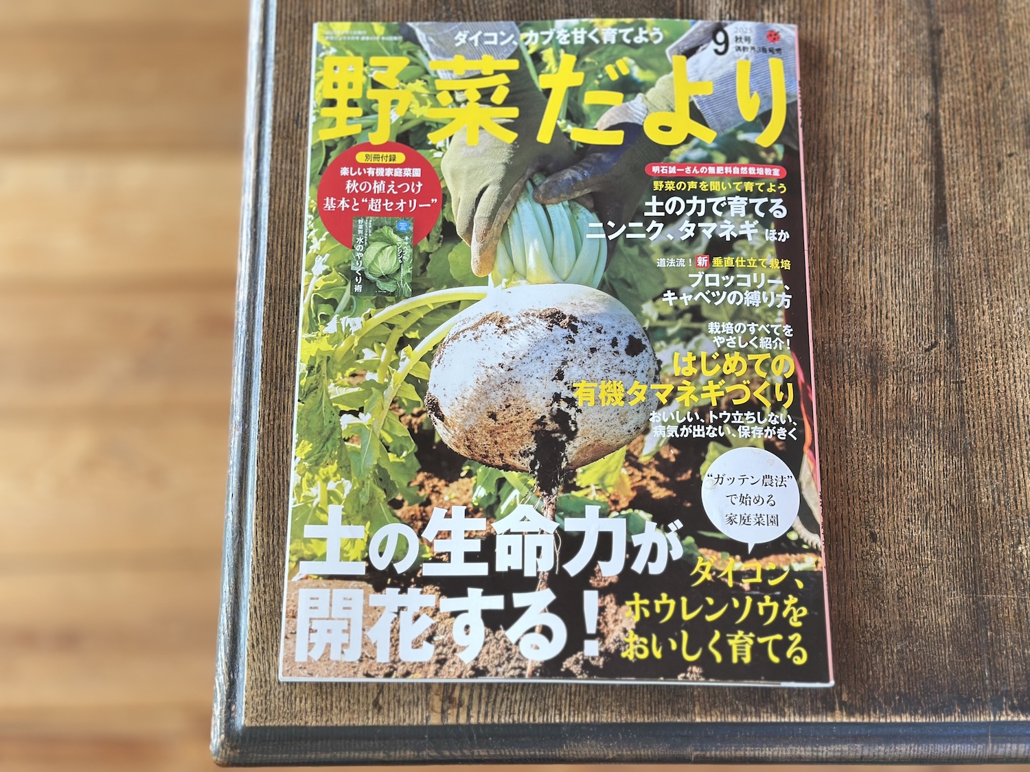 IMG_8633.jpeg IMG_8633.jpeg