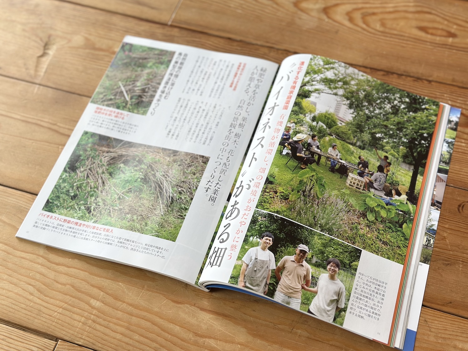 IMG_8634.jpeg IMG_8634.jpeg