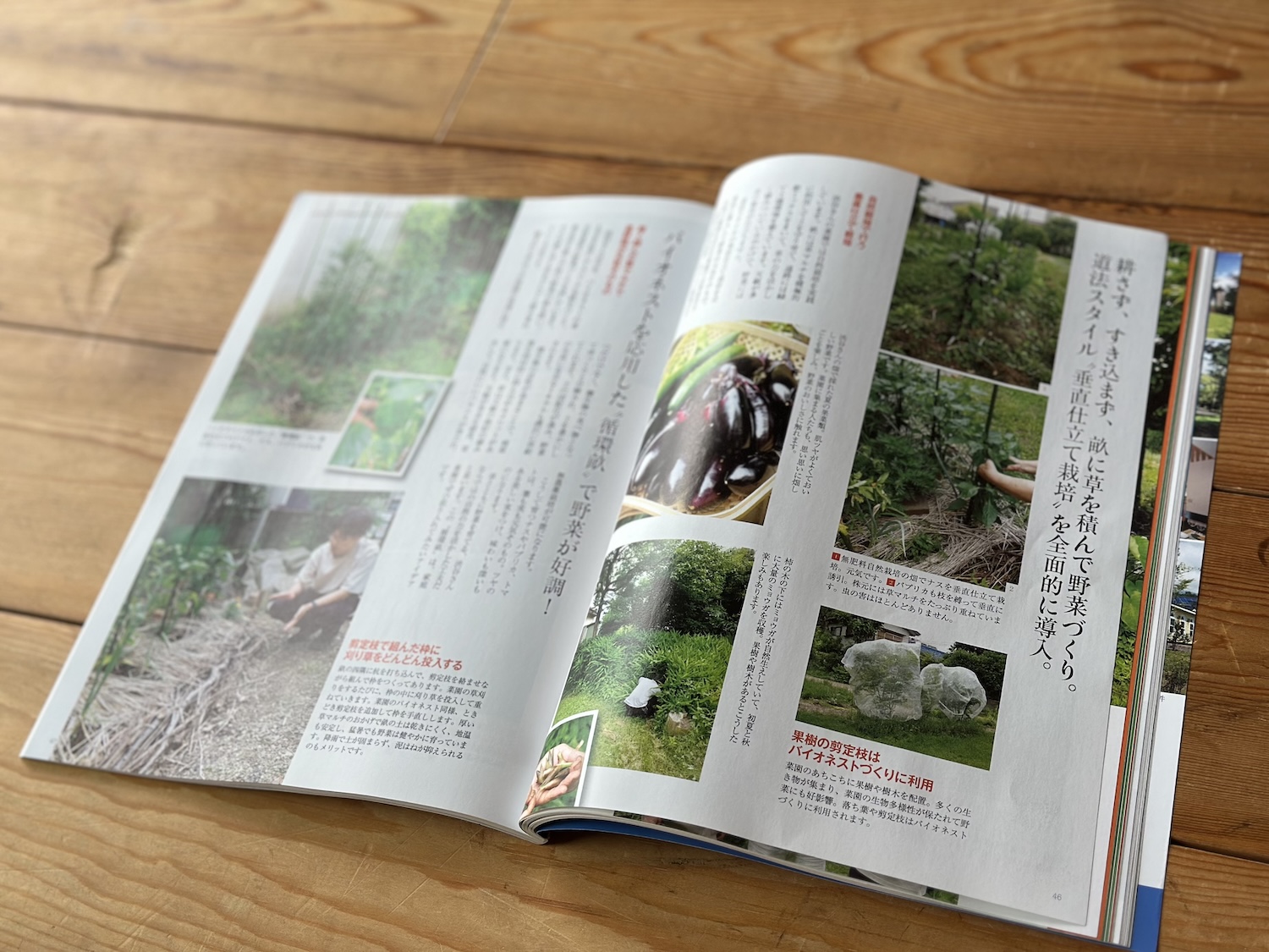 IMG_8636.jpeg IMG_8636.jpeg